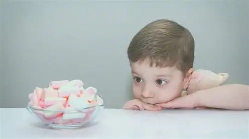 ребенок с тарелкой зефира