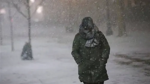 снежный шквал