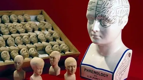 френологическая диаграмма и головы