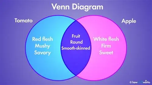 Диаграмма Венна: как перекрывающиеся фигуры могут иллюстрировать отношения