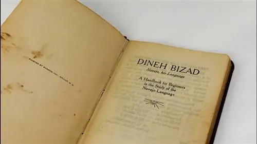 Языки коренных американцев