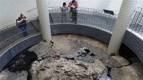 Ла Бреа Тар Питс