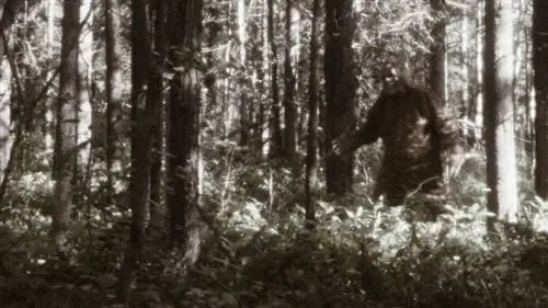 снежный человек