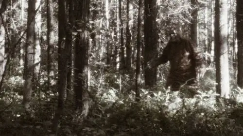 В чем разница между снежным человеком и снежным человеком?