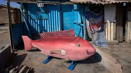 фэнтезийный гроб