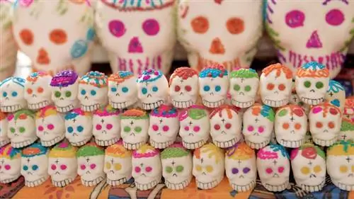 сахарные черепа