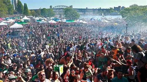 Что означает число 420 и почему 4/20 – день травки?