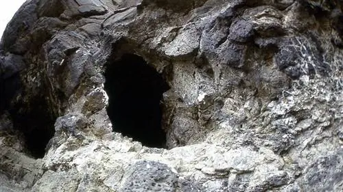 Голубое озеро носорога Голубое озеро носорога
