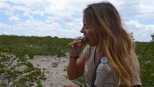 турист ест пейотль