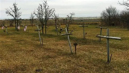 гончарные поля гончарные поля