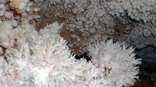 Пещерный попкорн Wind Cave National Park