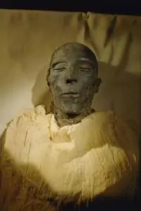 Может ли кто-то действительно найти мумию на заднем дворе?