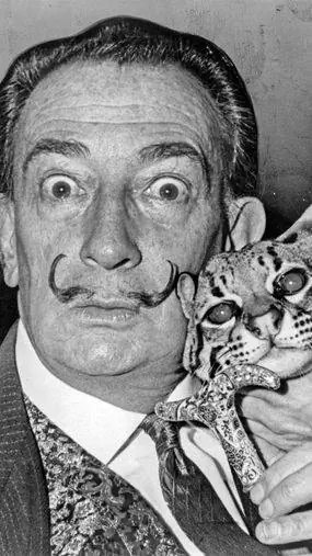 Сальвадор Дали, эксгумация