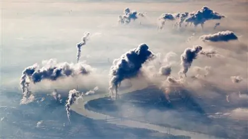 Эпоха антропоцена: Люди против Земли