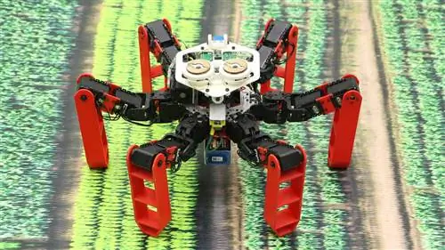 «AntBot» использует астрономическую навигацию вместо GPS