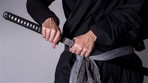 Что отличает катану от других мечей?