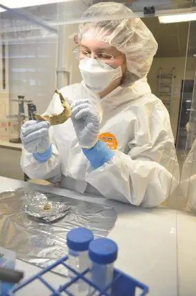 ДНК, ученый исследует мумию