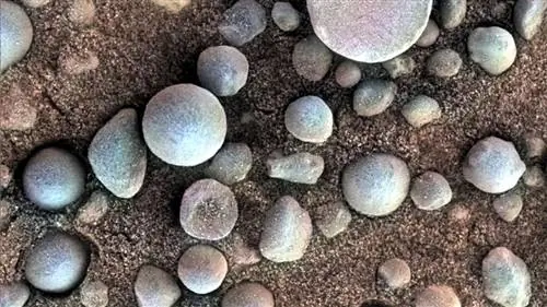 Марс, черника