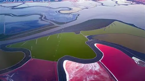 Не вся соль одинакова