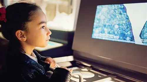 Нет такой вещи, как «стиль обучения»