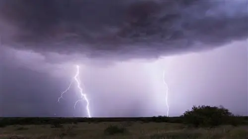 Погода и климат: в чем разница?