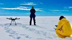 экипаж, утка