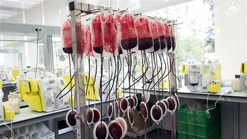 пакеты с кровью доноры крови пакеты с кровью доноры крови