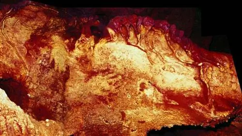 Неандертальцы на самом деле были доисторическими Пикассо