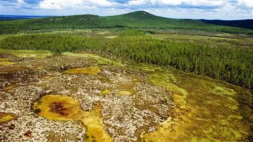 Никто не знает, что послужило причиной мощного взрыва 1908 года в Сибири