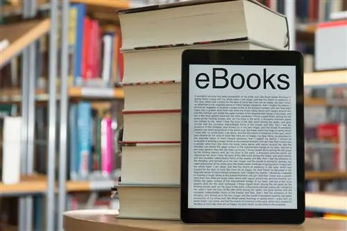 Как библиотеки работают с электронными книгами?