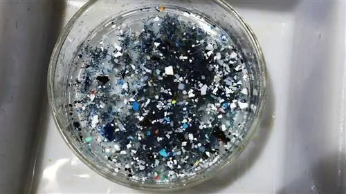 В Тихом океане появилось второе огромное пластиковое мусорное пятно