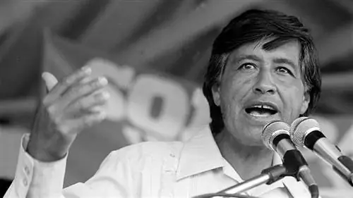 харизматичные лидеры