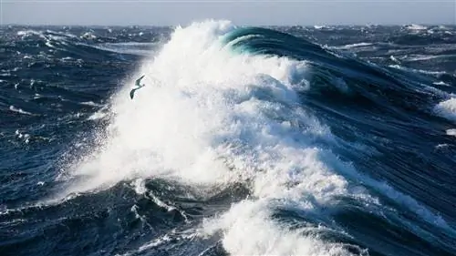 Самый большой в мире водопад находится глубоко под водой