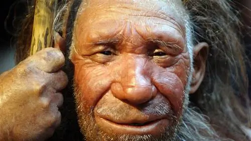 Генеалогическое древо Homo Sapiens продолжает развиваться