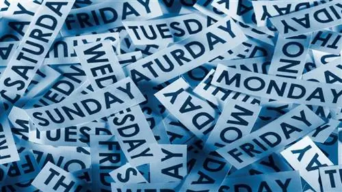 Какой сегодня снова день?' Психология вторника