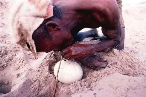 Полная ширина