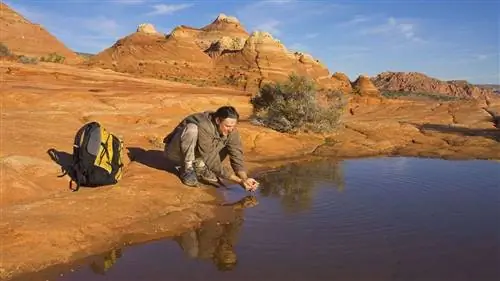 Почему эволюция не дала нам возможность чувствовать запах пресной воды?