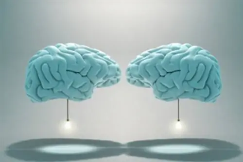 Что такое теория разума?