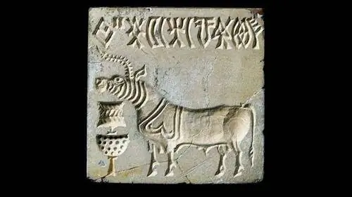 Полная ширина Полная ширина