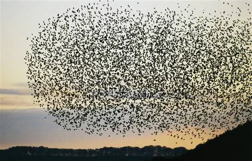 10 раз шел дождь не из воды