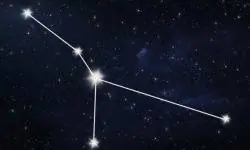 созвездие рака