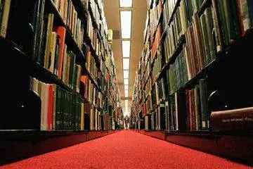 Библиотека Стэнфордского университета