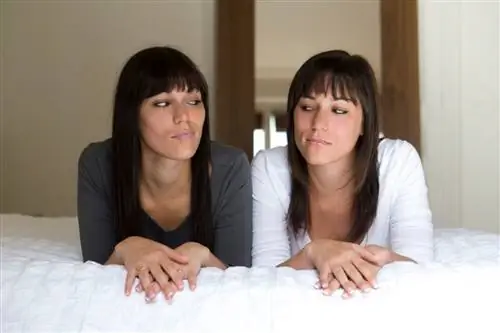 Могут ли близнецы чувствовать друг друга?