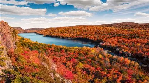 Влажное лето означает блестящую осень?
