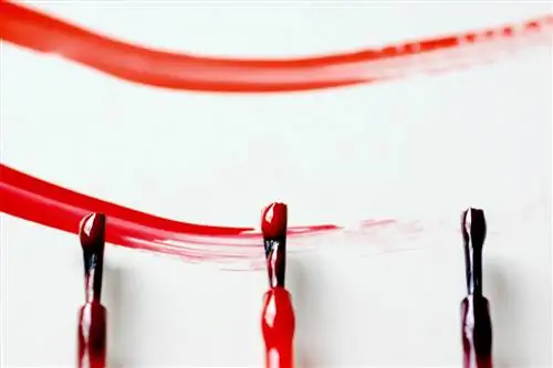 Что, если покрасить комнату лаком для ногтей?