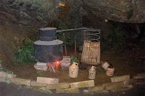 виски неподвижный