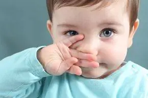 собака и кошка зевают