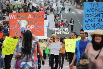 10 заблуждений о ГМО