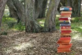стопка книг стопка книг
