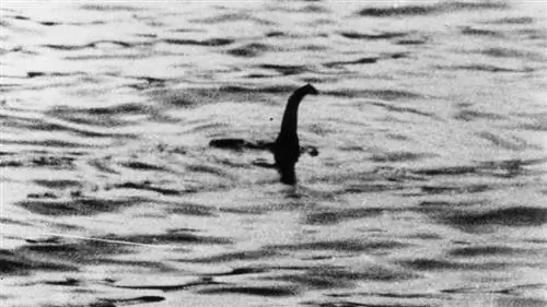 Лохнесское чудовище